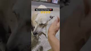 short video tag ? dog ka antim vidai ka intezar ek laachar maa kisi ka intezar kar rahi thi jo .