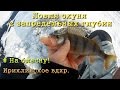 Ух!! С такой глубины ловить окуней еще не приходилось