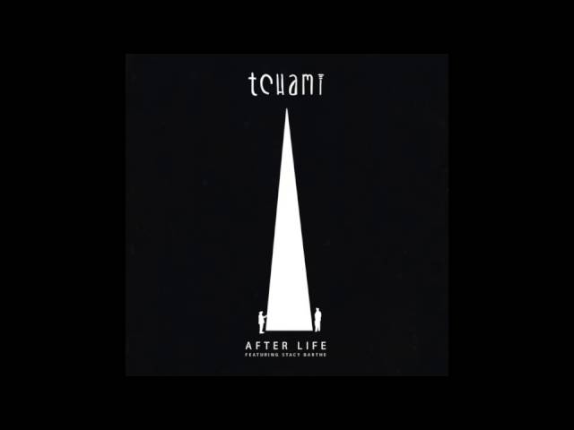 Tchami feat. Stacy Barthe - "After Life" OFFICIAL VERSION