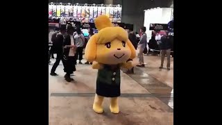 Isabelle Dancing To Rude Buster [10 Hours]