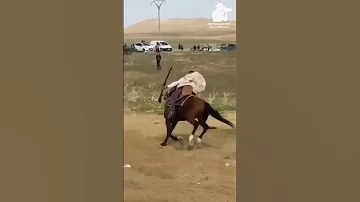 فرسان الشاوية فانتازية ليها ماليها مجانة البرج الجزائر 
