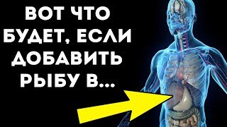 ВАЖНО КАЖДОМУ ЧЕЛОВЕКУ! Что будет с организмом, если есть рыбу каждый день ВАЖНО КАЖДОМУ ЧЕЛОВЕКУ! Что будет с организмом, если есть рыбу каждый день
