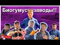 Биогумус | Органикалық тыңайтқыш | Шылаушын шаруашылығы | Ғылыми жұмыс | Баймұрат Анарбекұлы