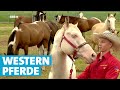 Westernreiten in Herbolzheim