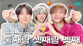 [&TEAM/앤팀] 230827 후마&니콜라스&의주 위버스 라이브 요약 | 아홉 형제 늑대가족의 둘째, 셋째 그리고 넷째