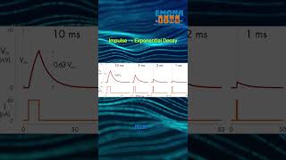 ⚡RC Circuit Response Explained | Step Response, Impulse Response &amp; Time Domain Analysis  #emonatims