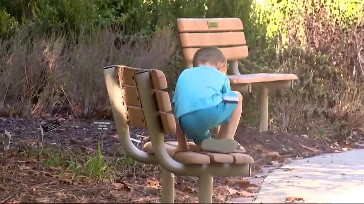 Fort Mill schools cracking down on out-of-state license plates