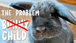 The Top Reason My Rabbit is the Problem Child by Bella & Blondie Bunny Rabbits 337 views 1 month ago 1 minute, 1 second