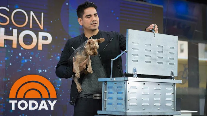 Magician Jason Bishop Makes His Adorable Dog Disap...