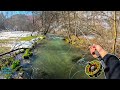 This small creek had some huge fish fly fishing for rainbow trout