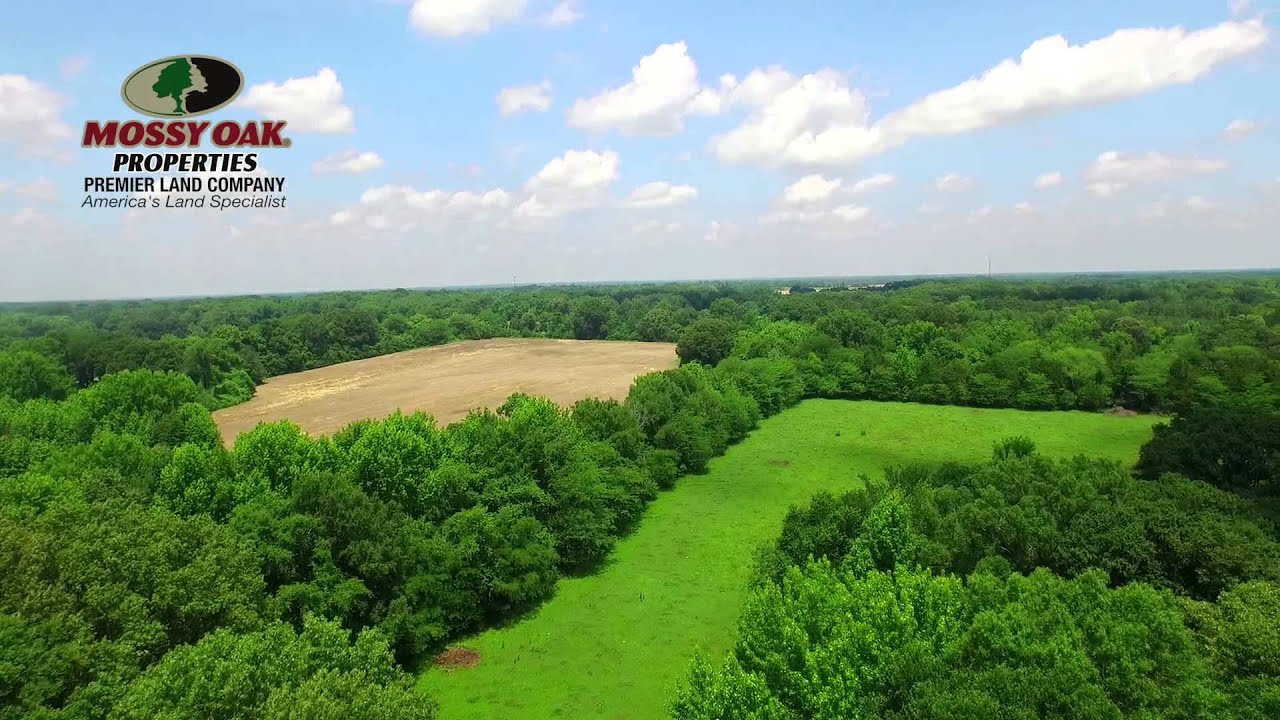 Beautiful Homesites for sale in North Shelby Co. TN YouTube