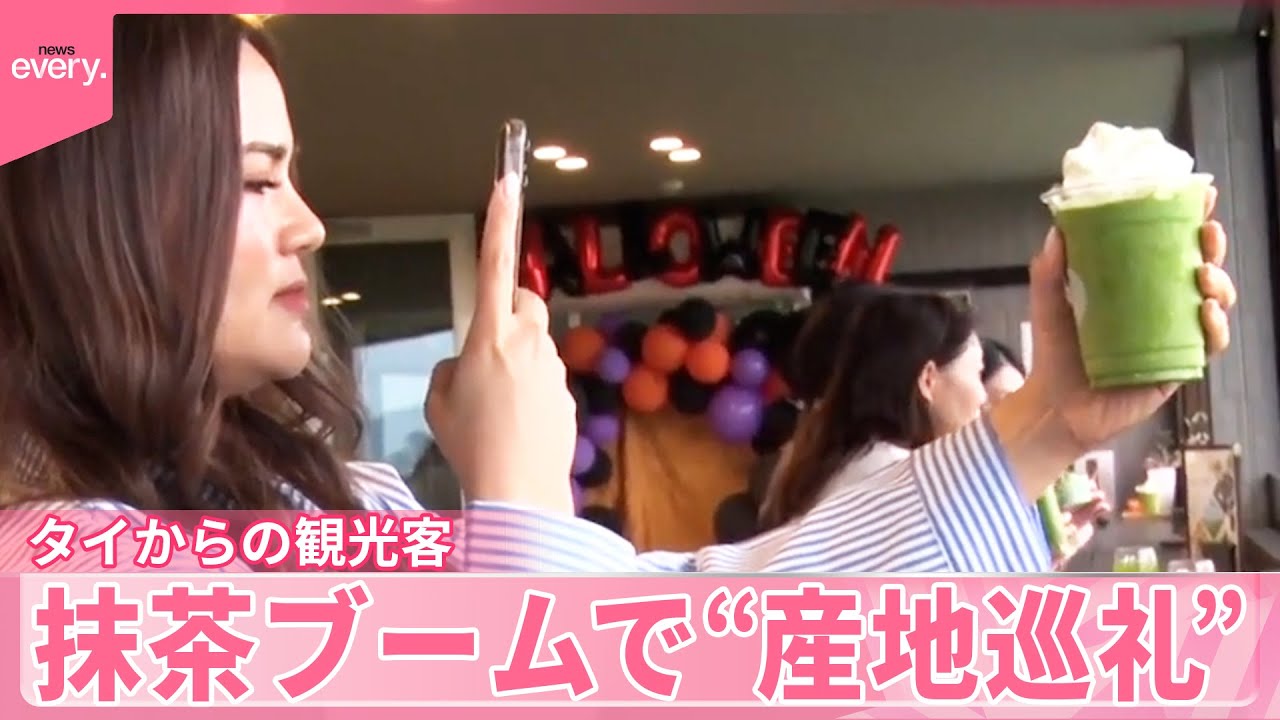 【抹茶ブーム】タイのファンが“産地巡礼”  茶畑訪れ大量購入も