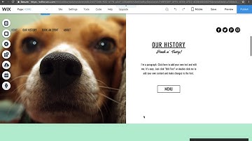 How To Add Photos and Videos in Wix