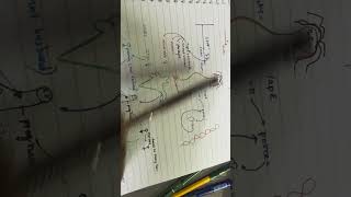 MTP ACT SALIENT FEATURES