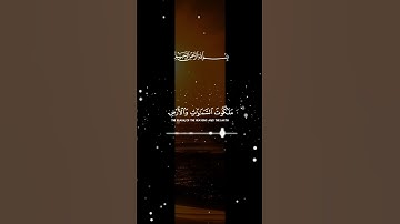 آيات بينات من الذكر الحكيم بصوت جميل ومأثر ❤ #اكسبلور #duet #المغرب #المصحف #القرآن_الكريم