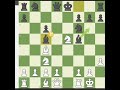 Garfo parte 15 #chess #xadrez #garfoxadrez