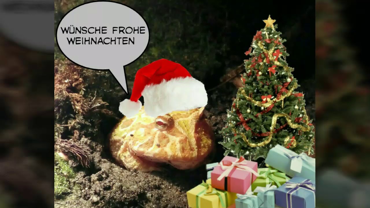 camera iphone 8 plus apk Frohe Weihnachten 🎄