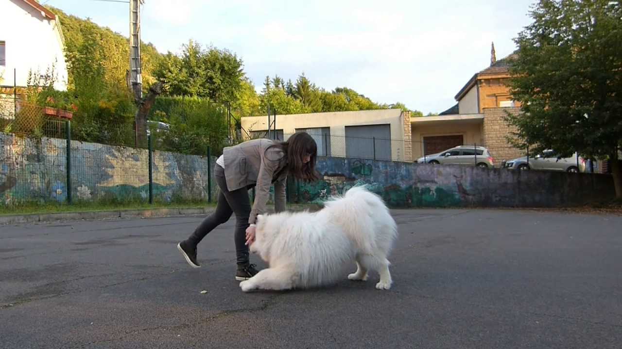 Vasko ~ 11 months old