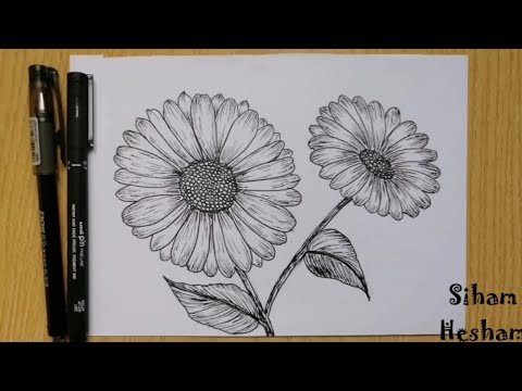 فيديو: كيفية رسم سهام جميلة