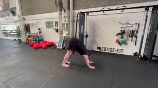 Elephant Walk demonstration