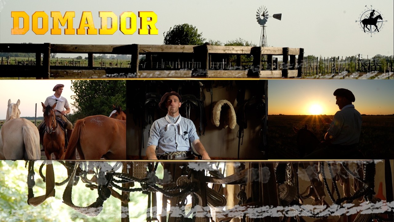 El verdadero trabajo del domador es que el caballo sea apto para que lo monte cualquiera