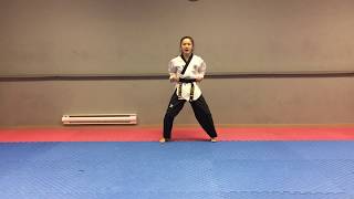 Purple Belt - 10 Basic Motion(Mirror Mode)