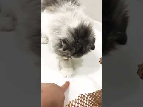 손가락 무사함? 😱😱