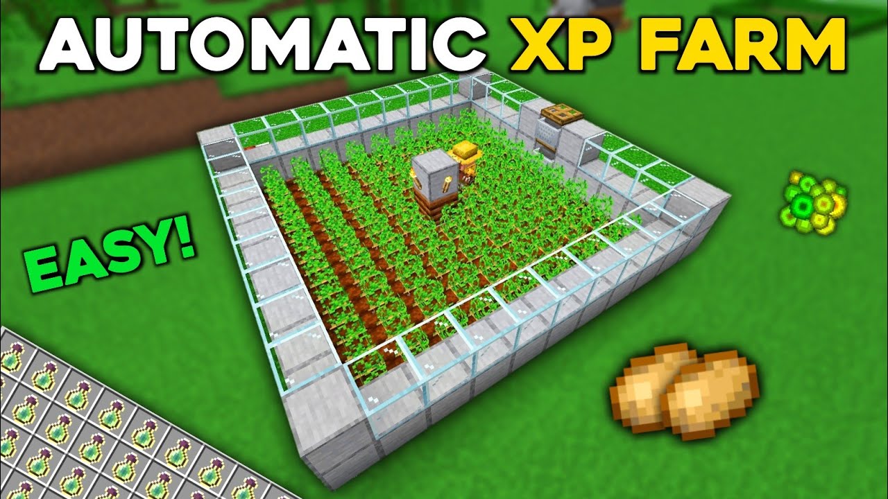 Easiest 1.20 XP FARM TUTORIAL in Minecraft Bedrock! - YouTube