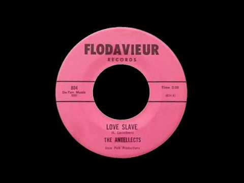 The Antellects - Love Slave