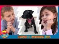 Adotando a Cachorrinha Lola | Como Adotar um Dog