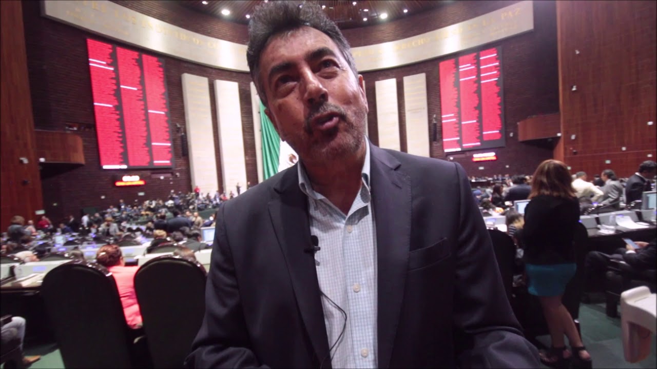 En entrevista Javier Lamarque Cano diputado federal de Morena en Sonora -  YouTube