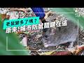 城市防鼠怎麼做？｜老「鼠」不相往來！(公視我們的島 第1361集 2026-06-08)