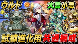 【ノンストップ】ウルド・大喬小喬試練進化用 周回編成・立ち回り紹介！！【#パズドラ/パズル&ドラゴンズ】