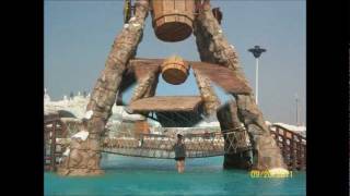 MCDONALDS ICELAND OUTING wmv