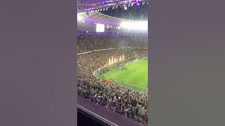 Festa da Torcida do Ceará, após a vitória contra o América-MG 18/11/24 #futebol #serieb #ceará
