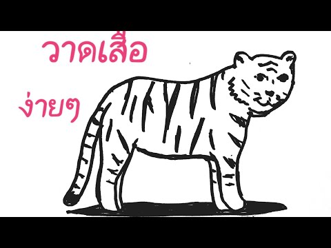 วาดรูปเสือ แบบง่าย,, | Drawing a tiger,, easy.