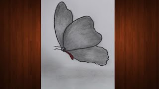 How to draw beautiful butterfly ? || Drawing pictures || Butterfly drawing || Pencil drawing easy