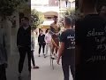 قرية ميت عاصم بنها