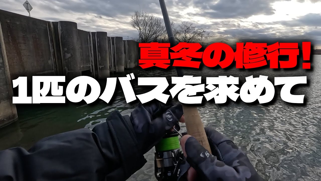 【淀川バス釣り】真冬の修行！1匹のバスを求めて＆ダウンショットリグの糸ヨレ対策