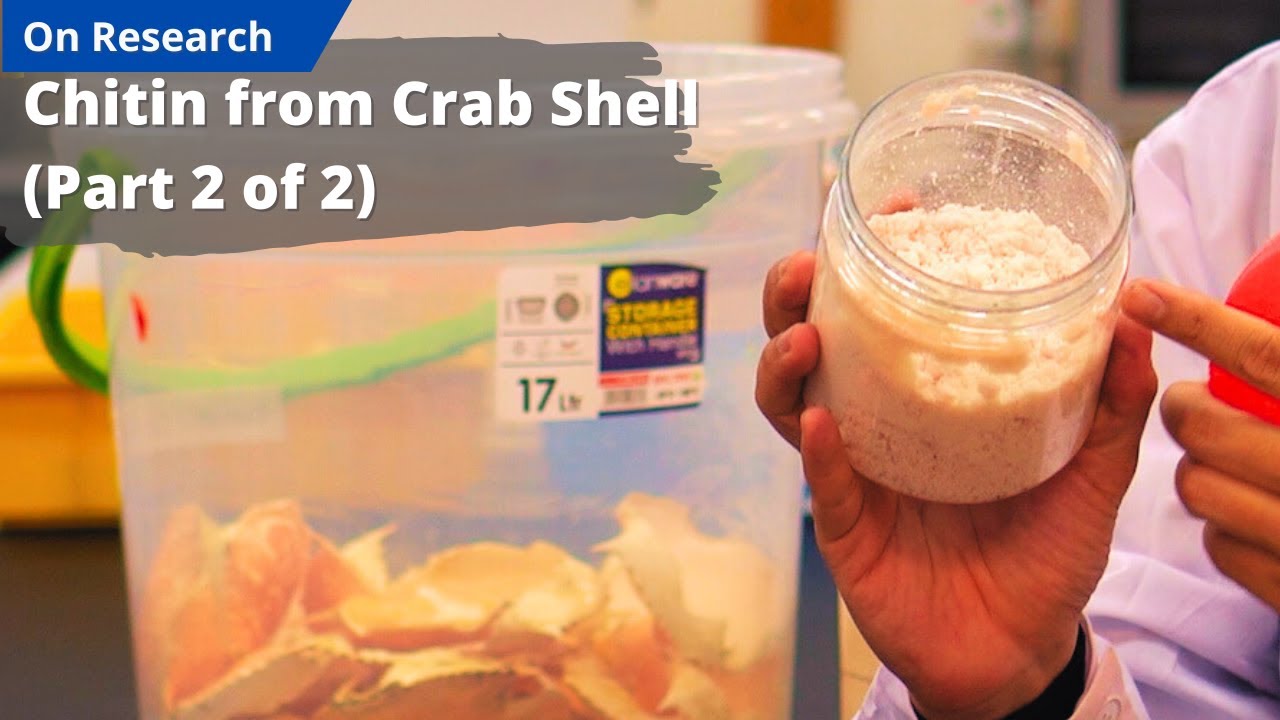 Chitin from Crab Shell (Part 2/2) | Extraction Process