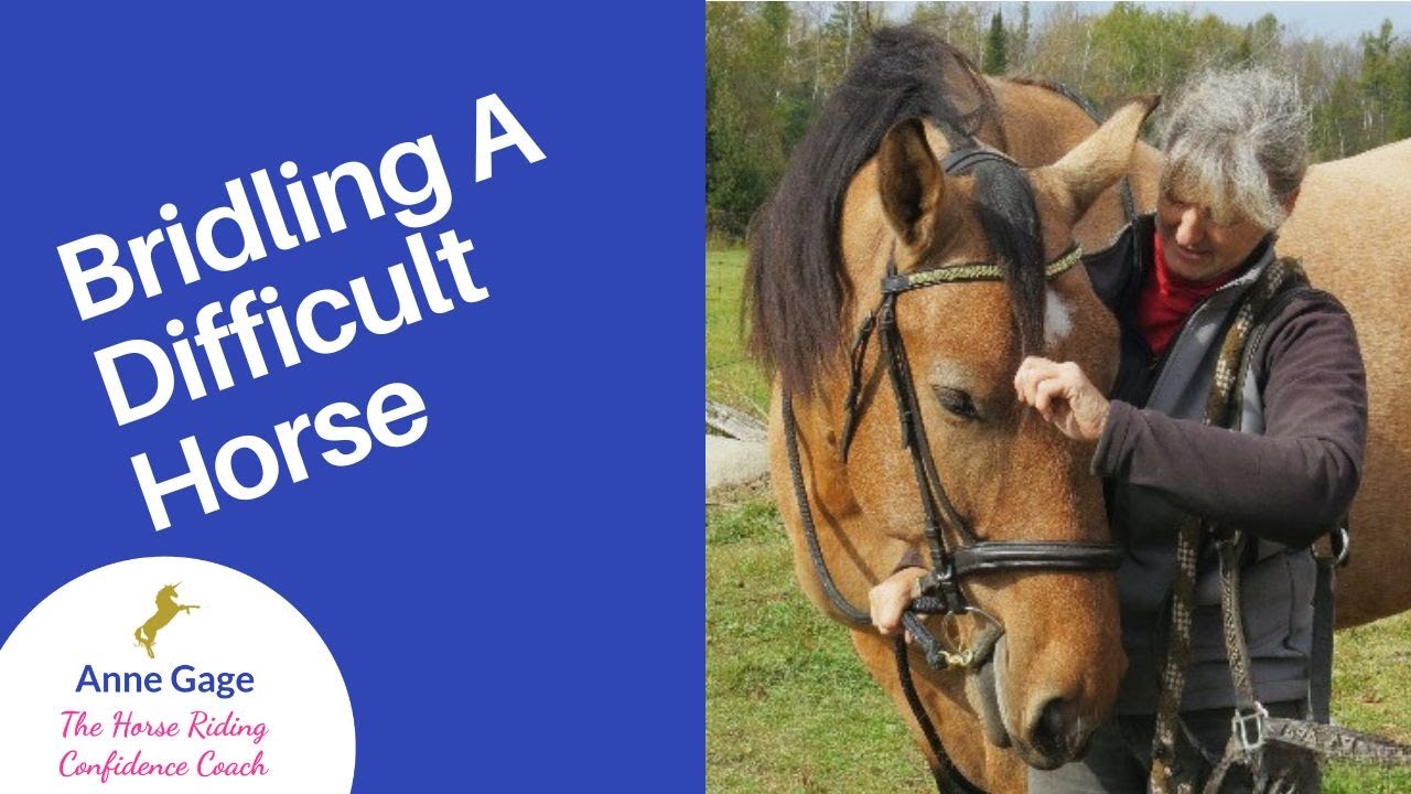How To Bridle A Difficult Horse: Training Without Force or Fear