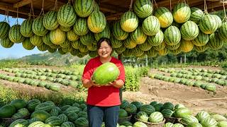Shaanbei Sister Xia uses watermelon rinds to make spicy sour crisps Shaanbei Sister Xia uses watermelon rinds to make spicy sour crisps