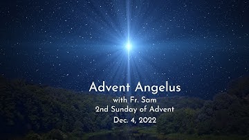 Advent Angelus: Dec. 4, 2022