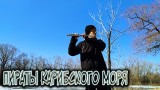 Hans Zimmer - Пираты Карибского Моря На Флейте