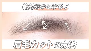 日本人に一番多い毛流れの眉毛カット方法【基本のあか抜け】＊クリッパー：Ayana