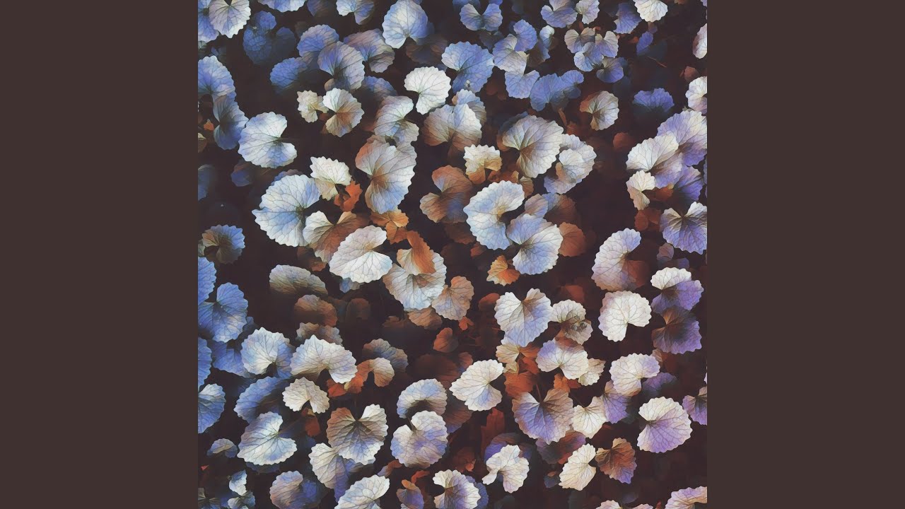 Watch fleeting on YouTube Watch fleeting on YouTube