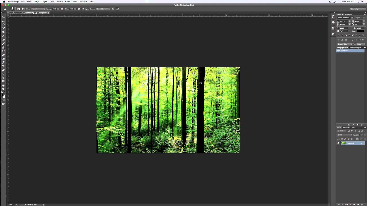 Using Clone Tool In Photoshop Using Clone Tool In Photoshop
