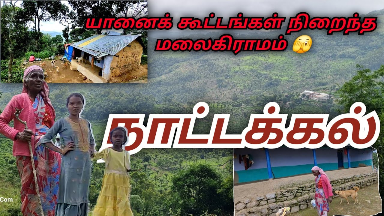 யாரும் செல்லாத இடத்தில் அவர்கள் வாழ்கிறார்கள் – ஊட்டி காட்டின் பழங்குடி மக்கள் #tribes #westernghats
