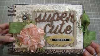 Mini Album(Pink Paislee+Graphic45 Paper)