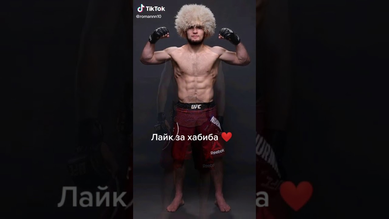 Хабиб в машине